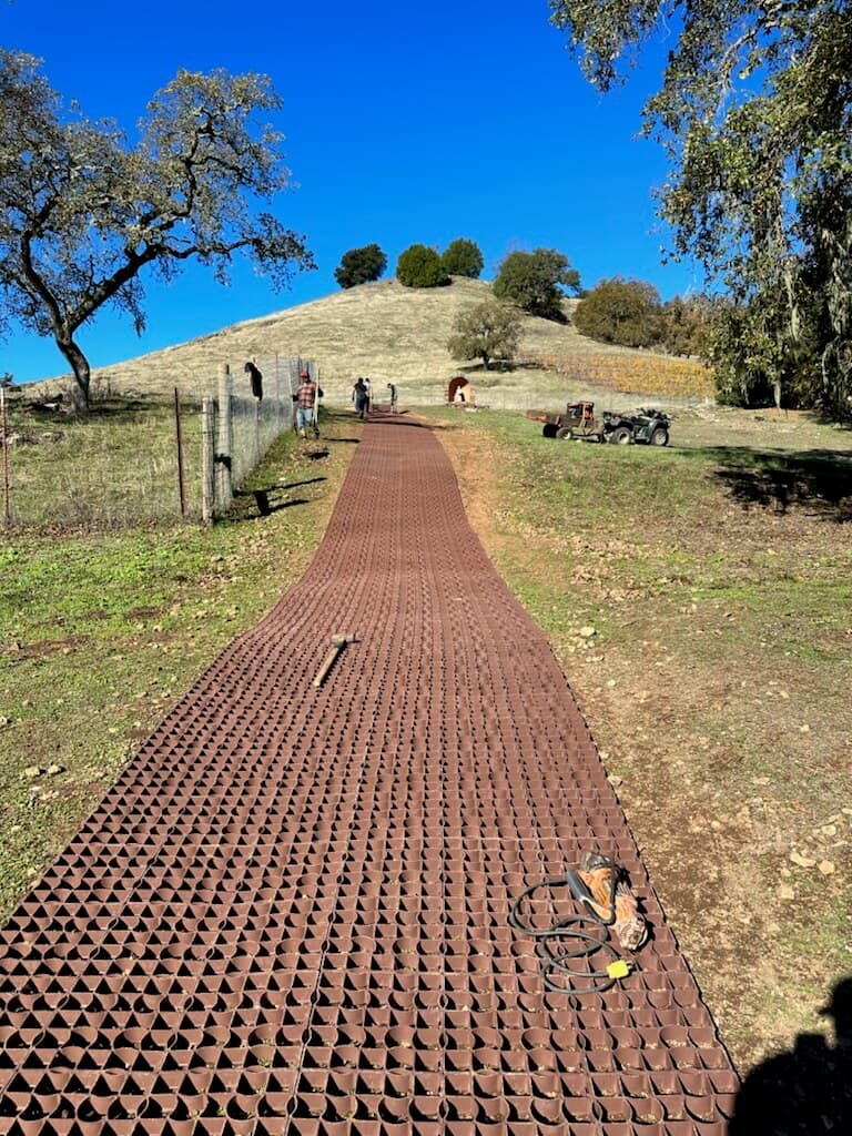 Winery with ecoraster installation